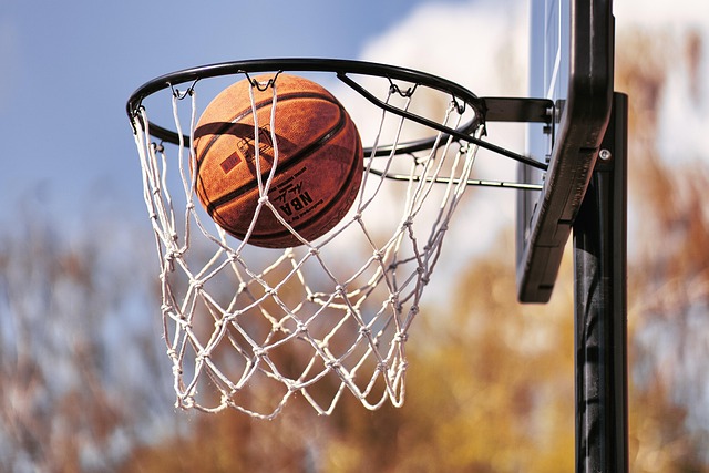 Økonomien i basketball fra fritidsspil til professionelle ligaer