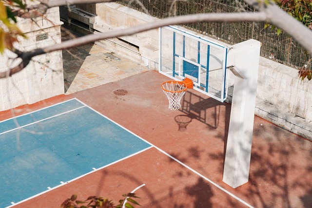 Sådan vurderer du prisen for at spille basketball